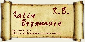 Kalin Brzanović vizit kartica